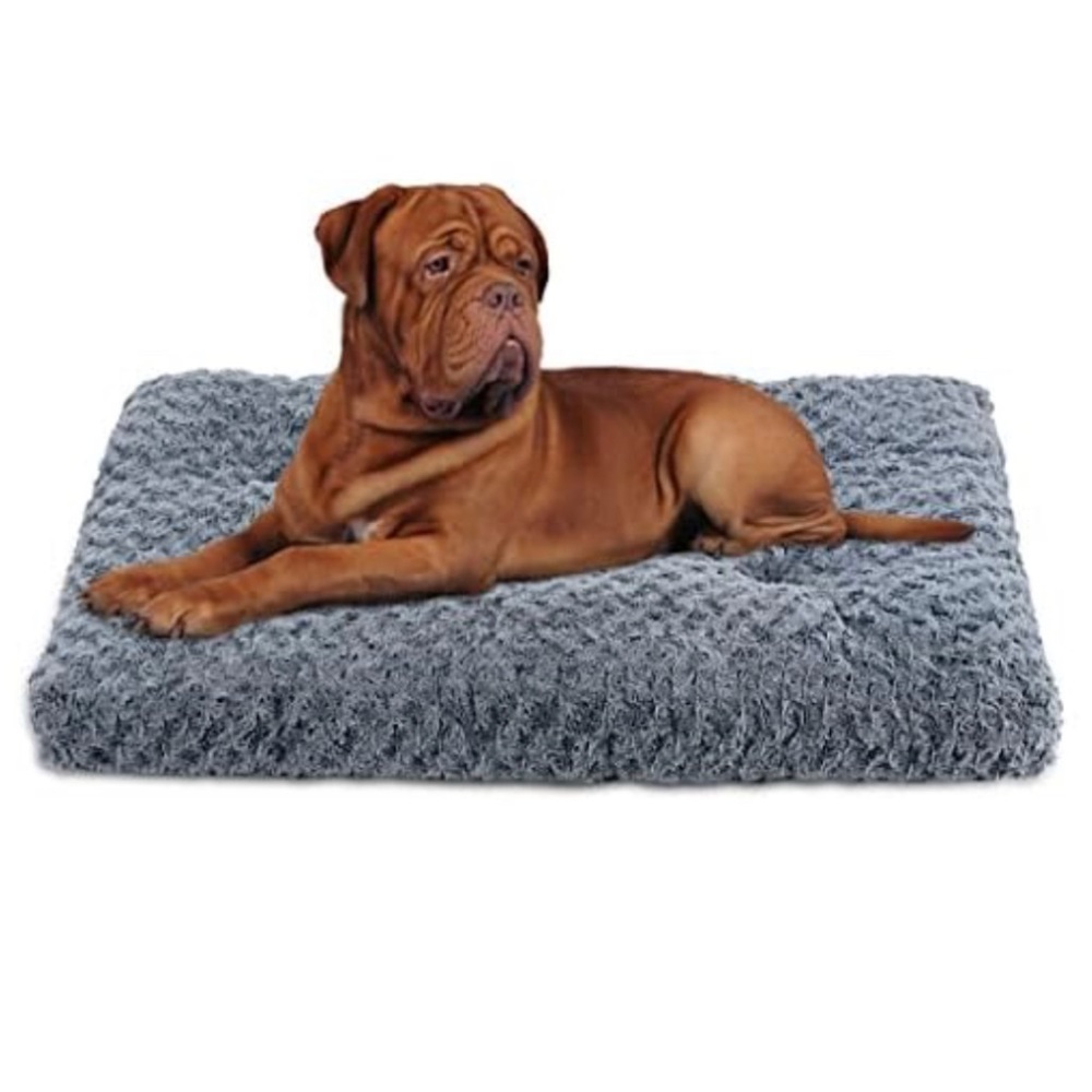NEW Washable Medium Dog Bed